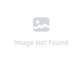 The Sundarbans: Nature’s Shield and How We Can Keep It Clean